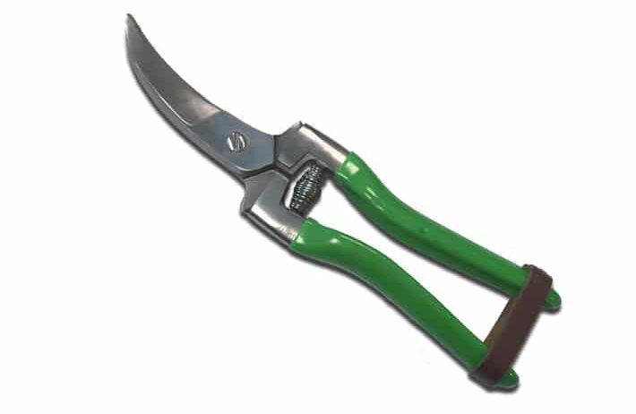 TIJERA PARA AJOS EXTRA CURVA 210 mm