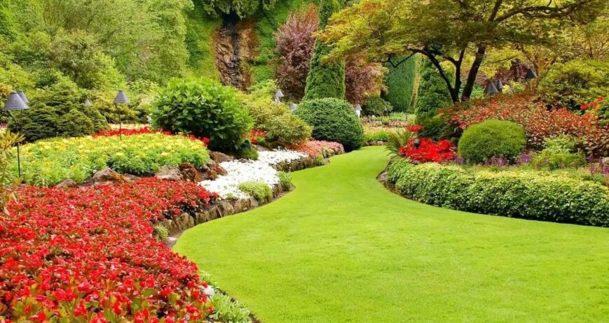 ¿Como cuidar el jardín en invierno?