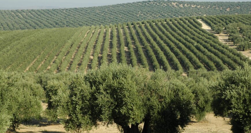 Subvenciones para el sector primario aprobadas por el Gobierno