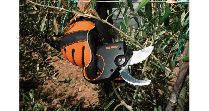 herramientas de podar