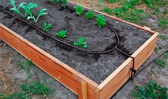 Como construir tu propio sistema de riego