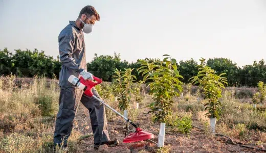 Pulverizador PULMIC FENIX PURE 35 El pulverizador PULMIC es mucho más que una herramienta; es tu aliado para lograr cultivos y jardines prósperos de manera eficiente y rentable. Su tecnología avanzada, diseño ergonómico y facilidad de uso lo convierten en la elección inteligente para cualquier persona que valore la precisión y la comodidad en la aplicación de productos líquidos.