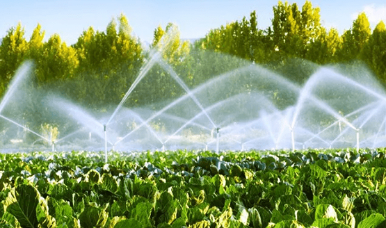 Sistema de riego más eficiente con Agrocor