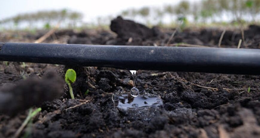 riego agrícola tubería manguera Riego por goteo Gotero autocompensante y turbulento: diferencias, usos y aplicaciones en riego agrícola