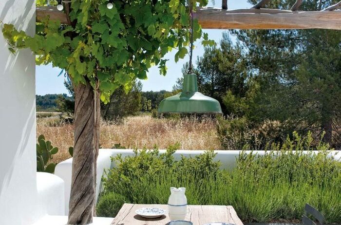 Agrocor: Liderazgo en Jardinería para Espacios Medianos y Pequeños