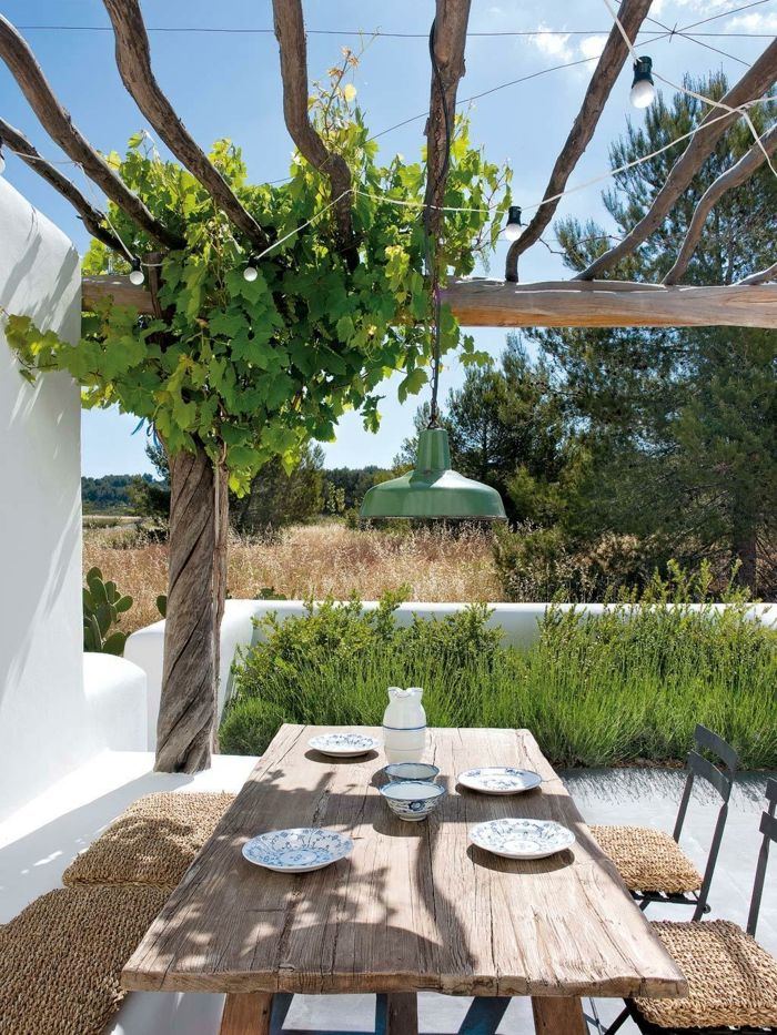 Agrocor: Liderazgo en Jardinería para Espacios Medianos y Pequeños