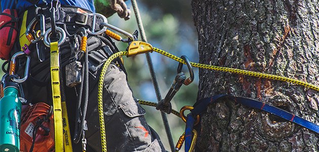 ¡Trabaja en altura con seguridad con Agrocor! poda en altura
