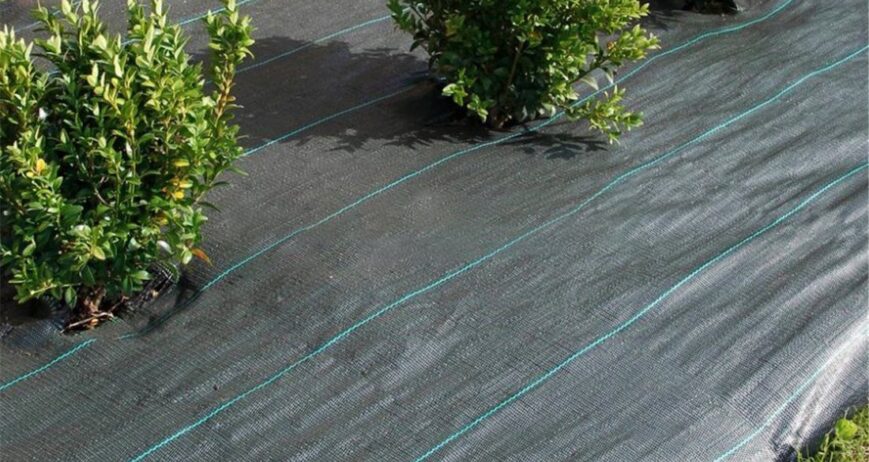 La malla antihierba es un material textil o plástico utilizado para prevenir el crecimiento de malas hierbas en jardines, huertos, cultivos y otras áreas verdes. Su principal función es actuar como una barrera física que impide que la luz solar llegue al suelo, evitando así la germinación y el crecimiento de las hierbas no deseadas.