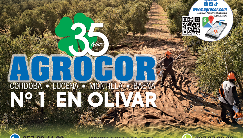 Guía Definitiva: Cómo Elegir la Motosierra Ideal para la Poda de tu Olivar