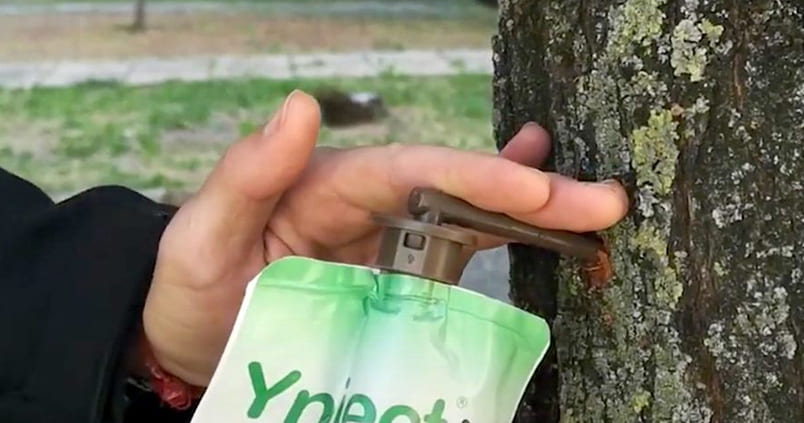 la endoterapia con el sistema Inject Go, la tecnología más avanzada para el cuidado de tus árboles