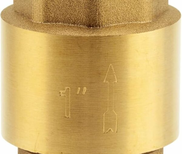 Valvula retencion inter. 2´´1/2