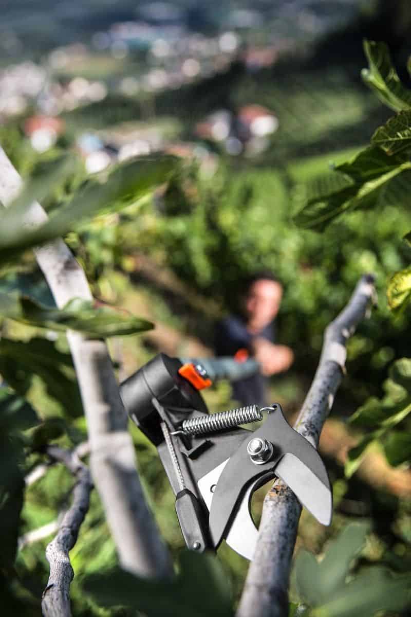 Tijera mango largo 170 cm - Imagen 3