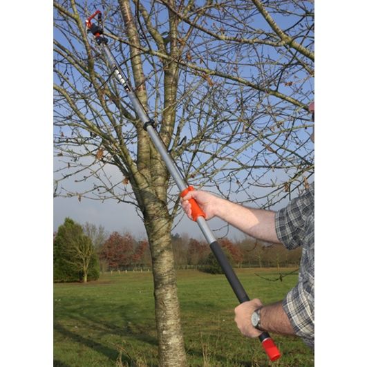 Tijera BAHCO con pertiga AP-234-F (2200 mm/30 mm) - Imagen 2