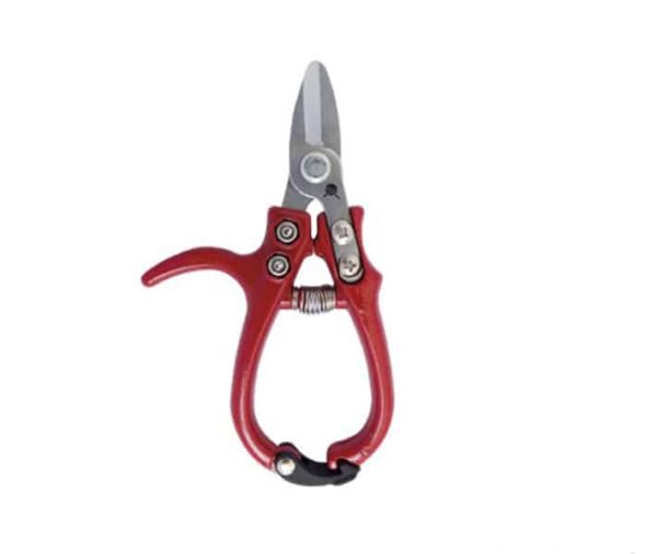 Tijera recoleccion citricos Kamikaze mediterraneo