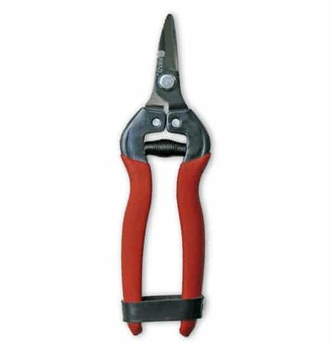 Tijera recoleccion citricos Kamikaze S-206 CLASSIC