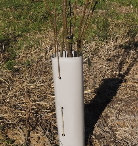 Protector lamina ø 11x60 cm (perforado + varilla)