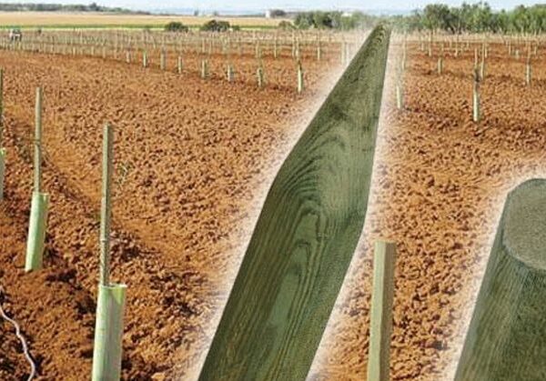 Tutor pino autoclave redondeado 4x170 (3.7x3.7)