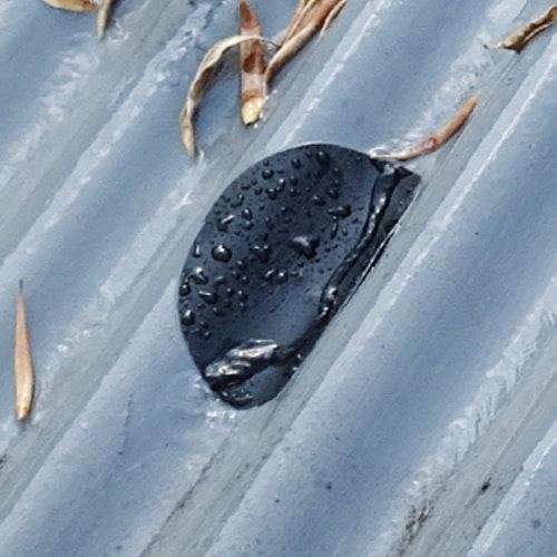 AGUASTOP cinta extrema Transparente 1.5mt x 100mm - Imagen 4