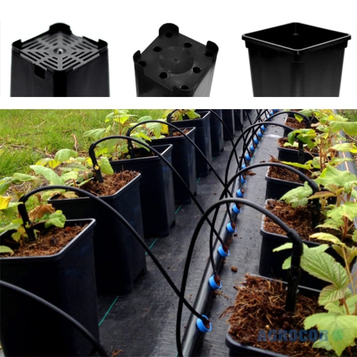 Maceta cuadrada 10x10x17