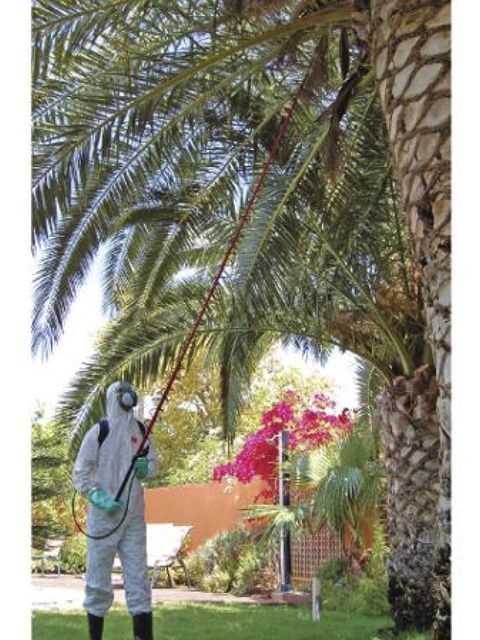 Lanza telescopica 5 mts PULMIC (sh) - Imagen 2