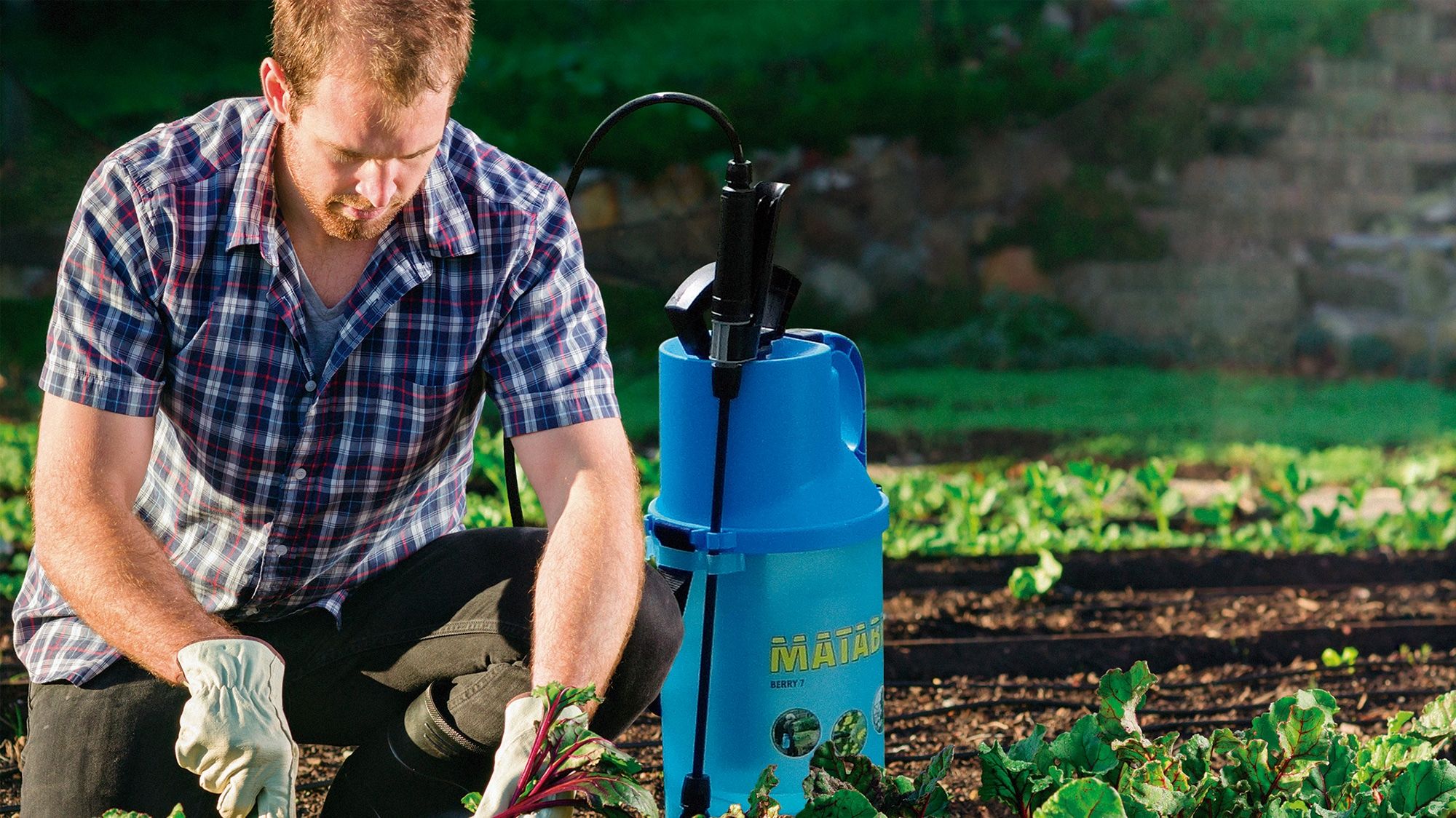 Pulverizador MATABI Berry 7 - Imagen 2