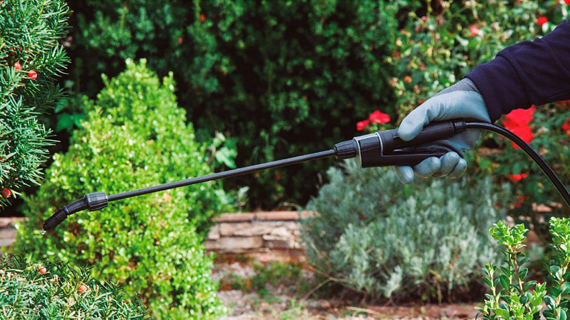 Pulverizador MATABI Berry 7 - Imagen 5