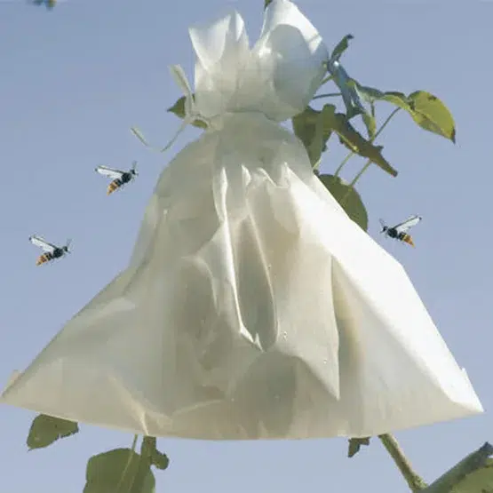 Bolsa proteccion FRUITSAC 17x22 cm (50 und) - Imagen 2