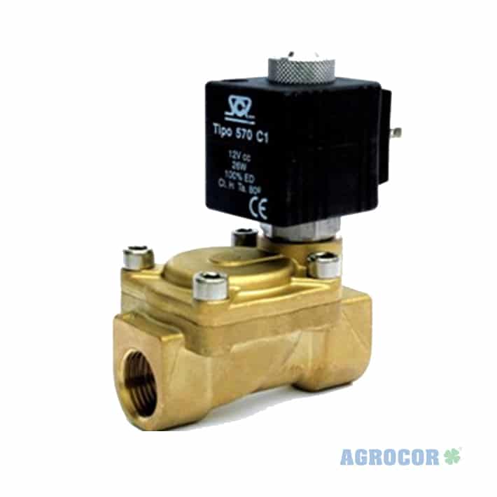 Conector bobina T30 luminoso 2 polos + tierra