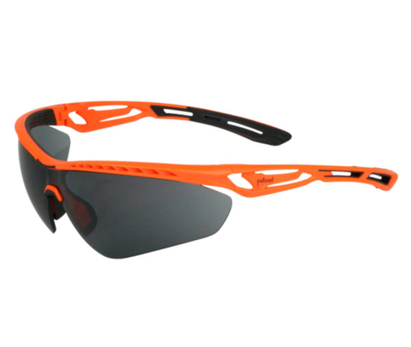 Gafas FEROCIA gris Naranja HV/Negro AV/AN
