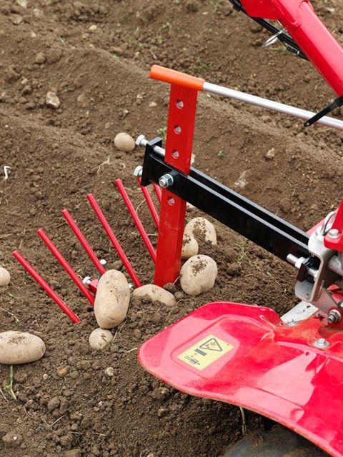 Arranca patatas nº 1 (nuevo) - Imagen 2