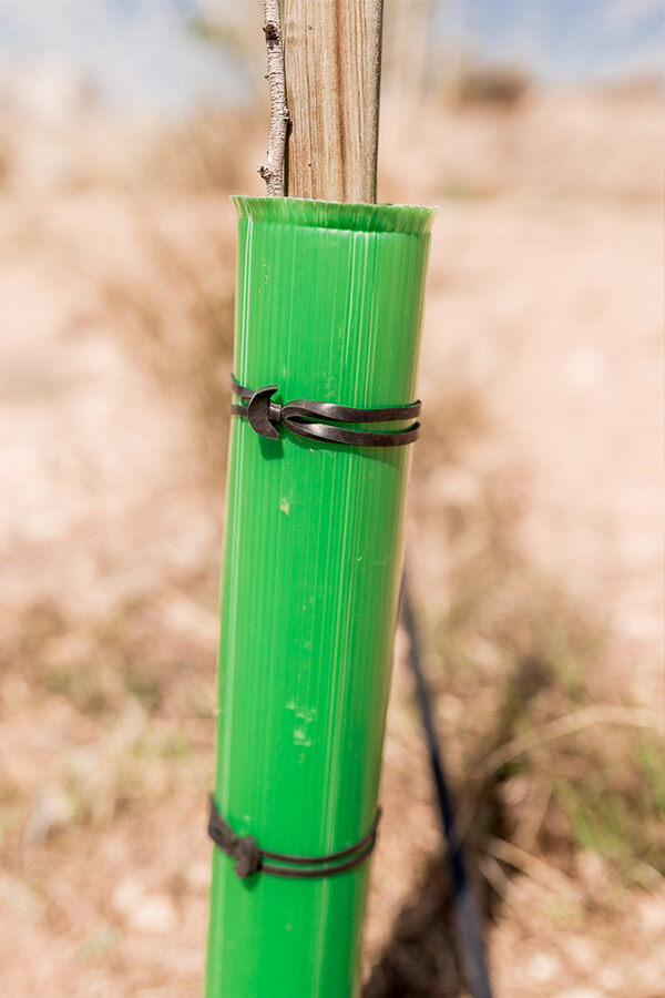 Goma ancla nº 12x4 (bolsa 1 Kg 325 und.) BANDEX - Imagen 4