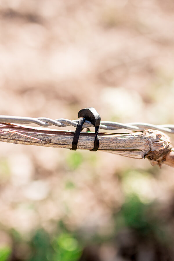 Goma ancla nº 12x4 (bolsa 1 Kg 325 und.) BANDEX - Imagen 7