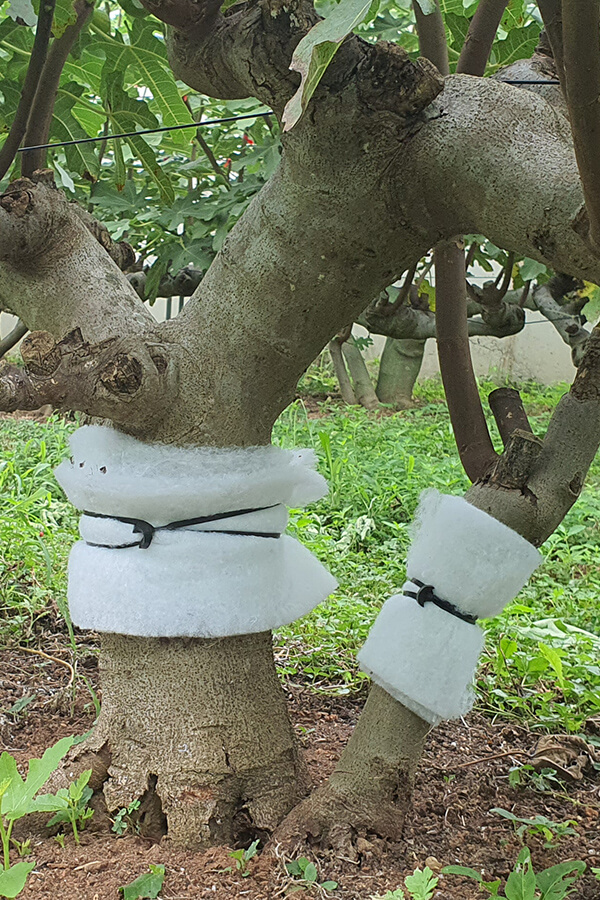 Goma ancla nº 12x4 (bolsa 1 Kg 325 und.) BANDEX - Imagen 3