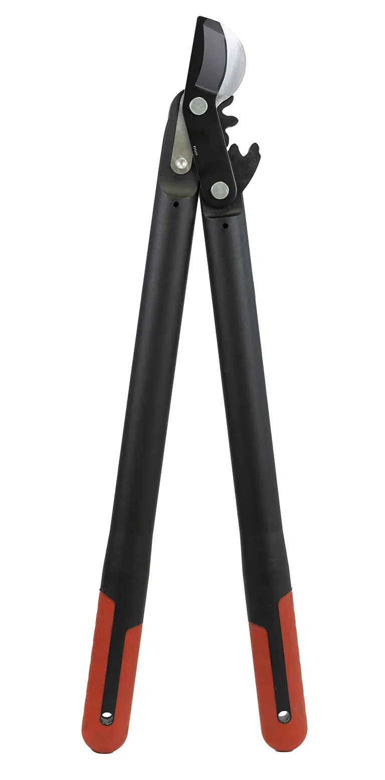 Tijera dos manos Kamikaze Garden KM-770