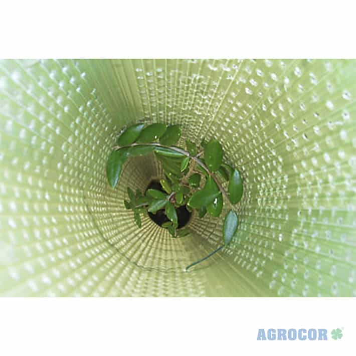 Protector forestal tubo 0,70 mts abierto - Imagen 7