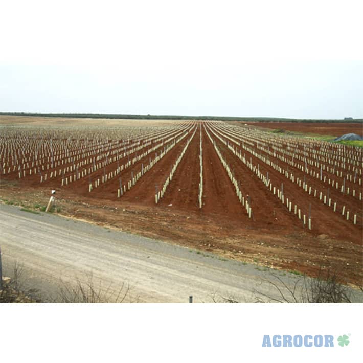 Protector forestal tubo 0,70 mts abierto - Imagen 9