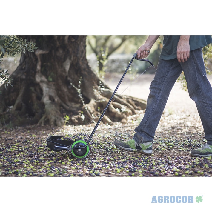 Recolectora aceitunas Nº1 espec. Cubeta agujereada - Imagen 4