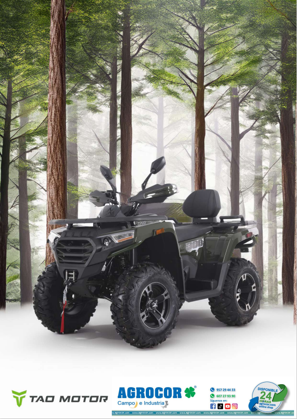 QUAD ATV TAO MOTOR 300 verde