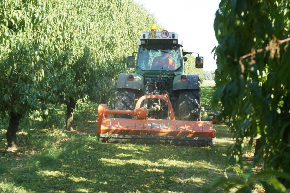 Trituradora Rinieri TRP 200 (2.000 mm) + hidraulic - Imagen 2