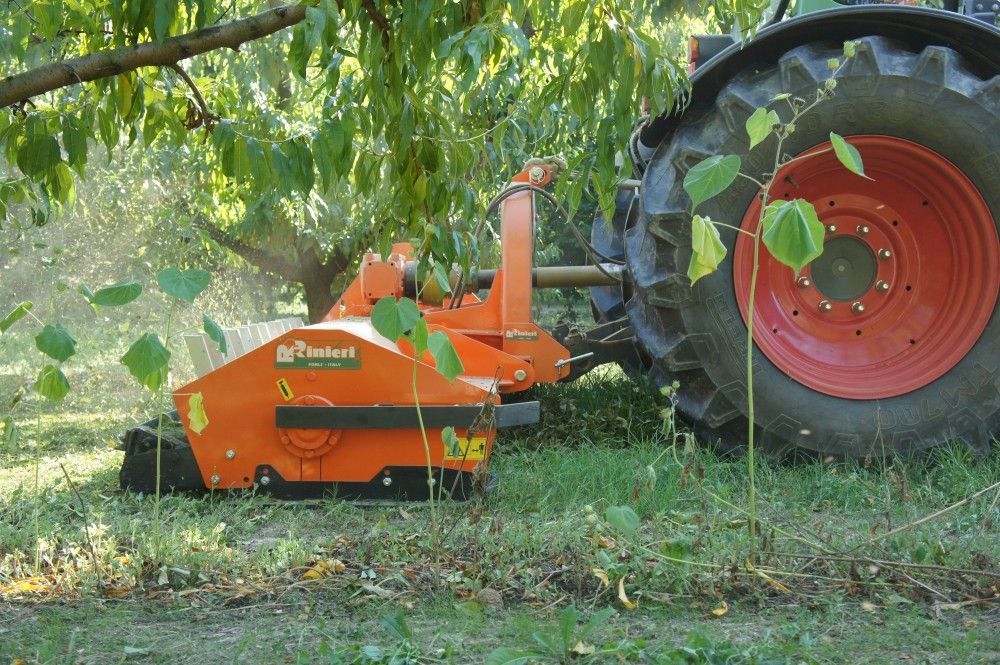 Trituradora Rinieri TRP 200 (2.000 mm) + hidraulic - Imagen 3