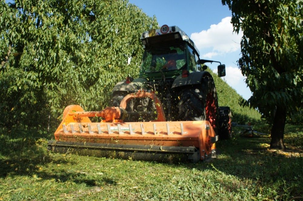 Trituradora Rinieri TRP 200 (2.000 mm) + hidraulic - Imagen 4