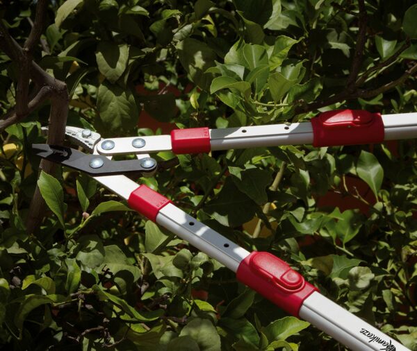 Cortasetos a batería Kamikaze KM-40 con mango telescópico regulable para setos en altura