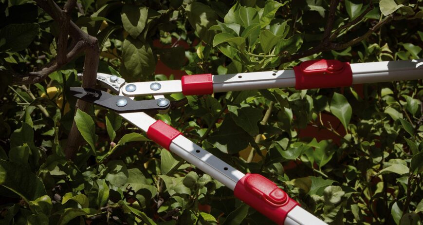 Cortasetos a batería Kamikaze KM-40 con mango telescópico regulable para setos en altura