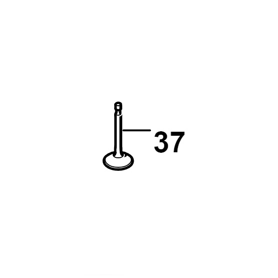 Valvula de escape BR 600