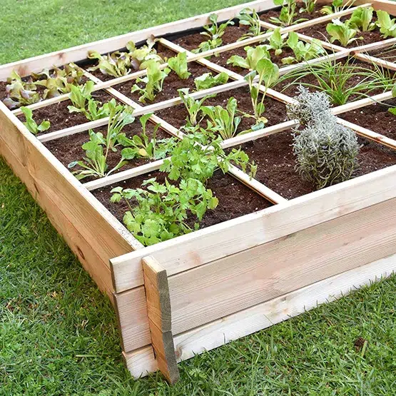 Huerto Urbano Suelo (16 Departamentos) 134x134x24 - Imagen 2