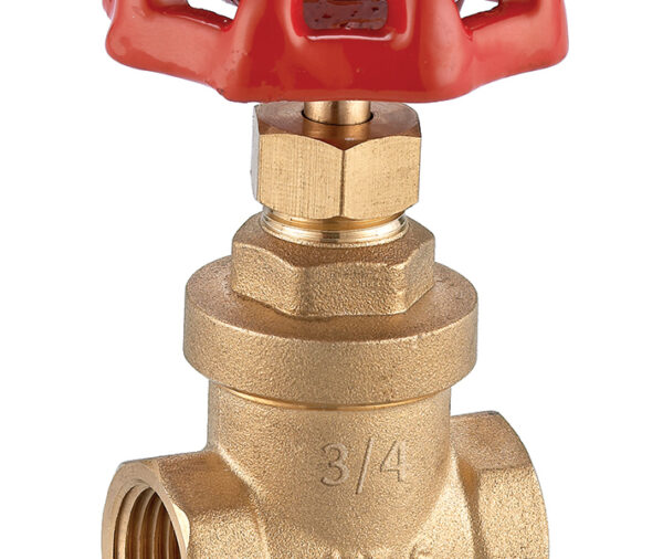 Valvula compuerta 1´´1/4