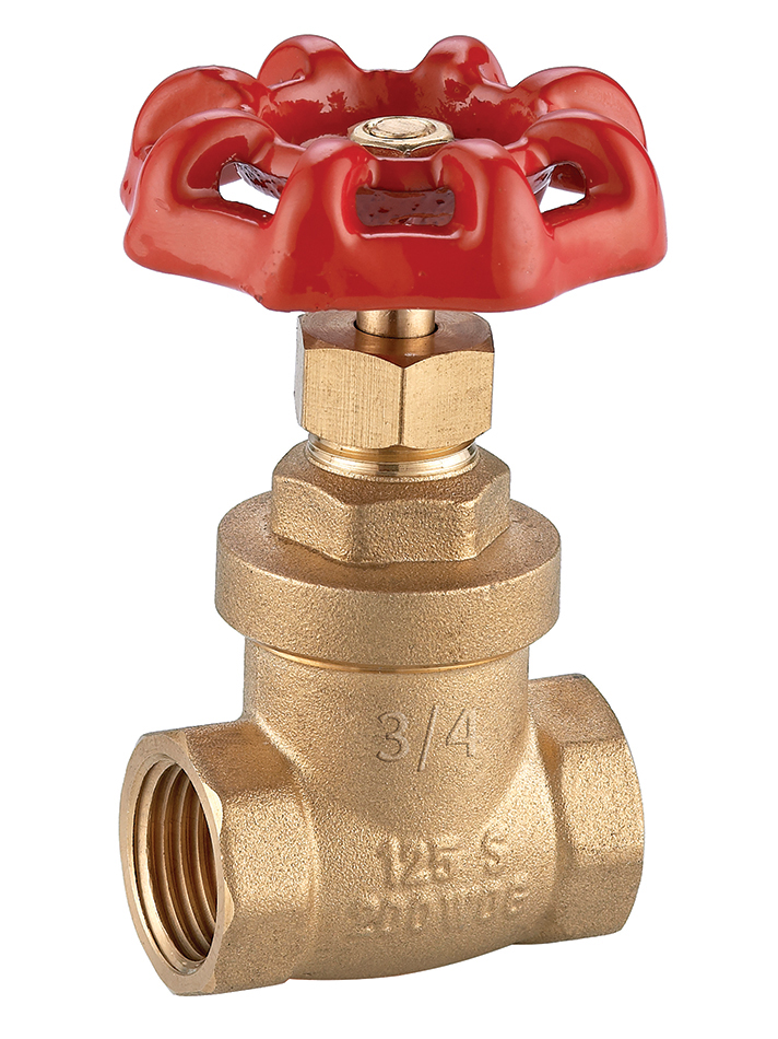 Valvula compuerta 1´´1/4