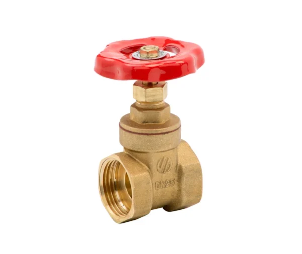 Valvula compuerta 3´´