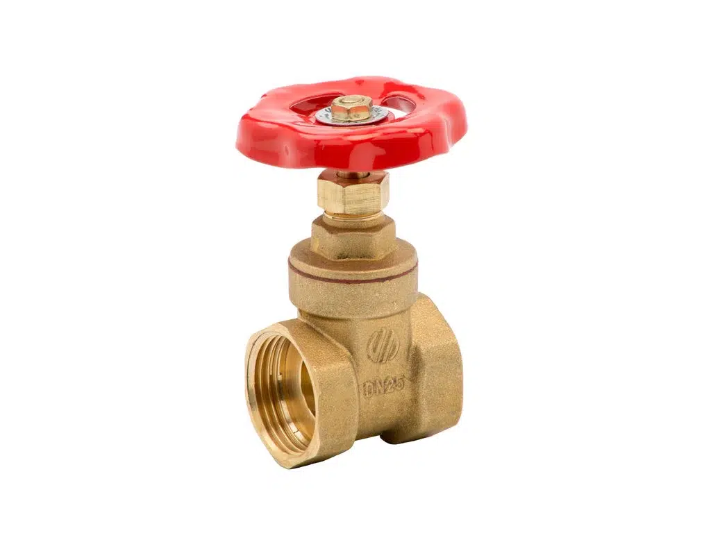 Valvula compuerta 3´´