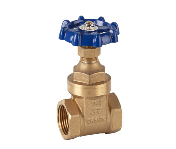 Valvula compuerta 3/4´´